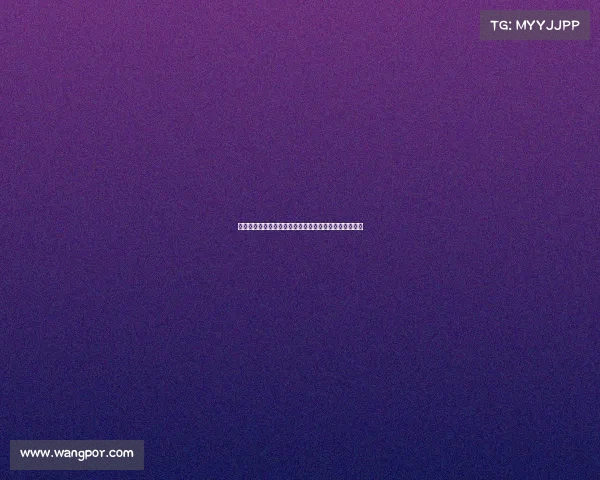 米体：西汉姆道加盟尤文关注扎卡比苏马安德烈三大目标