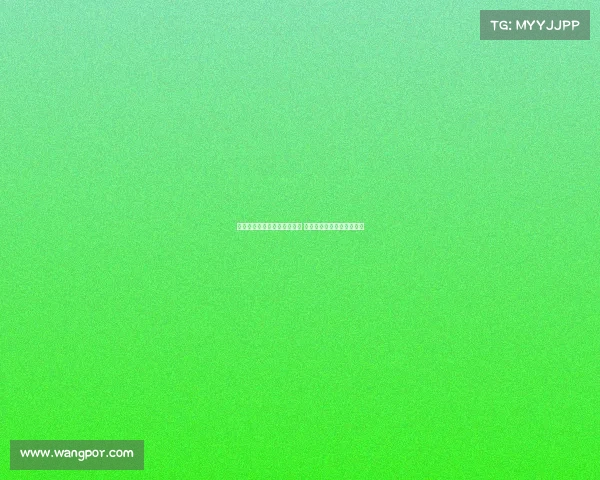 纽卡训练场举行午餐烧烤活动 但故意没有邀请伊萨克参与